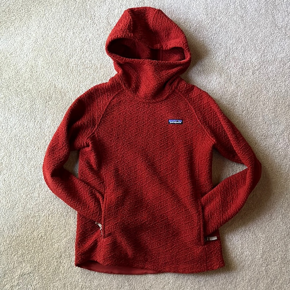 Rare marsupial pocket hooded Patagonia pullover